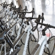 Übergabe der Bundesliga-Räder von STORCK Bicycle